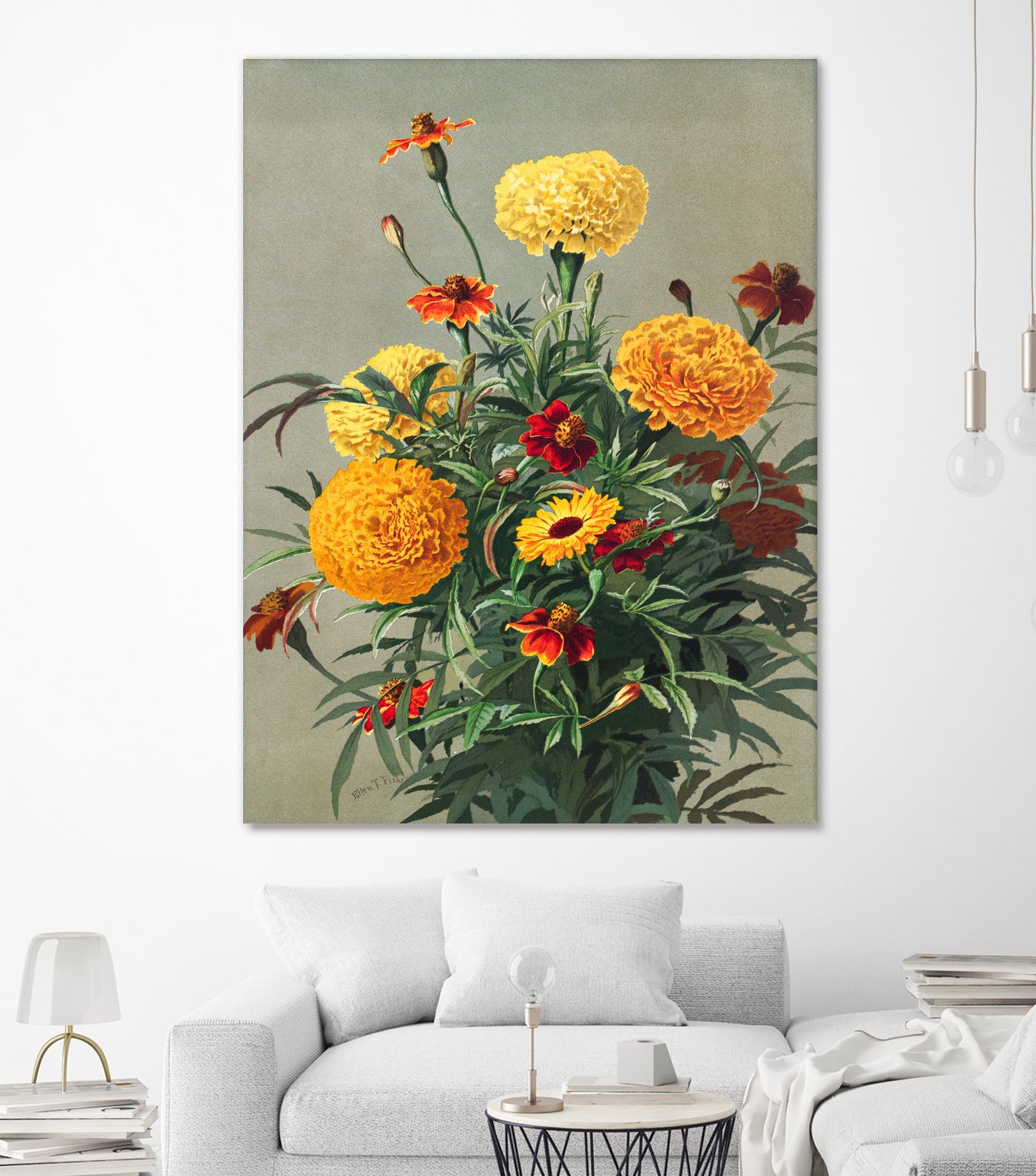 Marigolds by Ellen Thayer Fisher on GIANT ART - illustration ellen thayer fisher