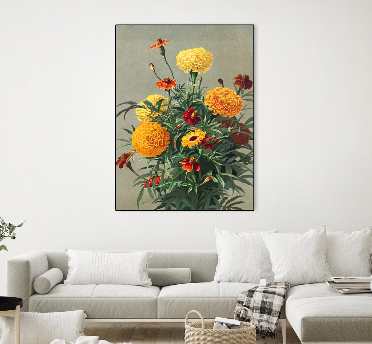 Marigolds by Ellen Thayer Fisher on GIANT ART - illustration ellen thayer fisher