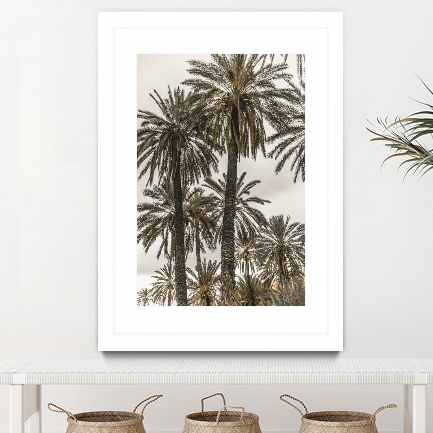 Sicilian Memories 17 by Mareike Bohmer on GIANT ART - botany