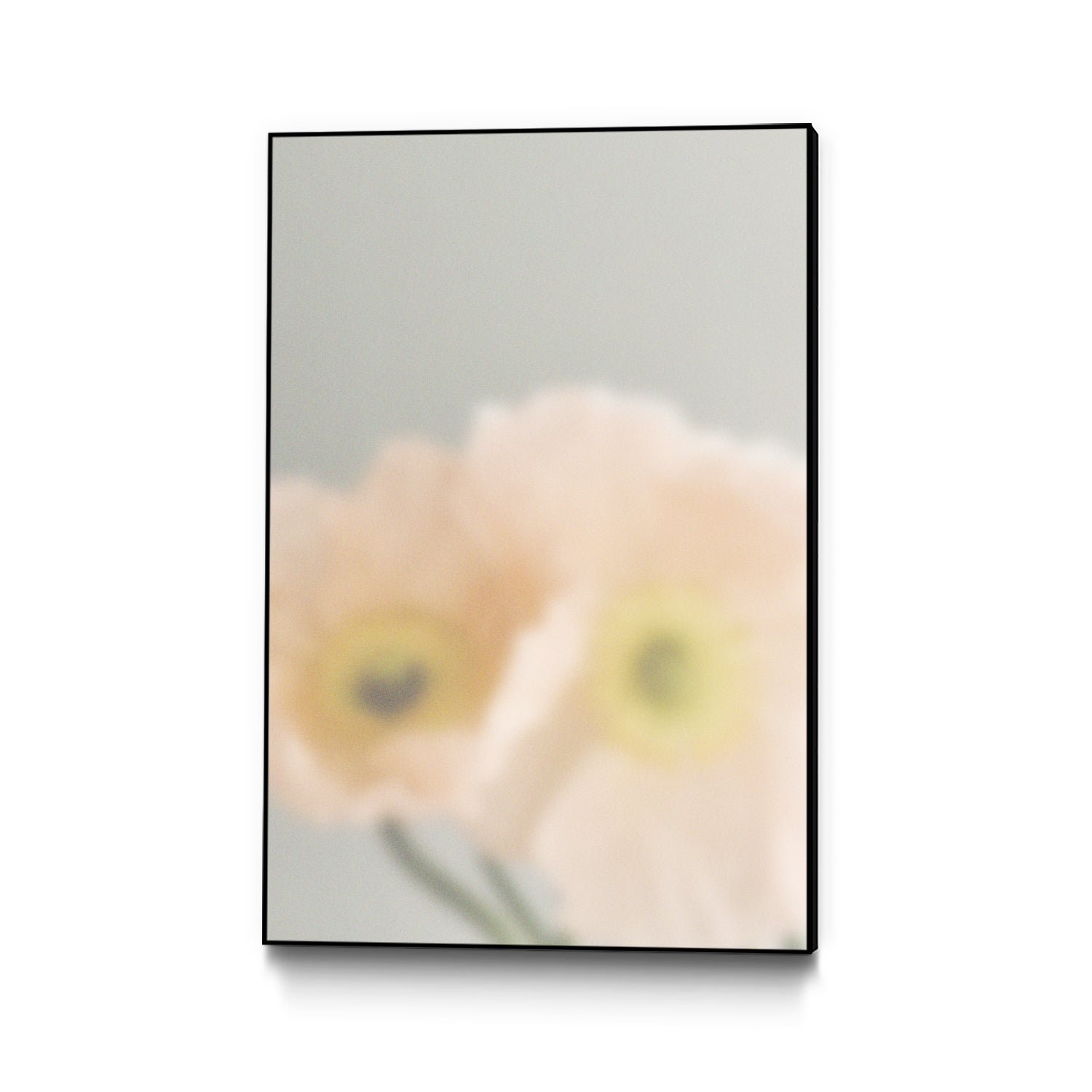 PUUID-PX3510407_CFB2436