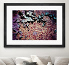Purple Rust Up Close I by Jean-François Dupuis on GIANT ART - pink abstract canadian artists