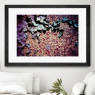 Purple Rust Up Close I by Jean-François Dupuis on GIANT ART - pink abstract canadian artists