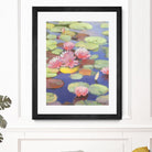 Passion in Pink by Ron Simpkins on GIANT ART - pink flowers nénuphars