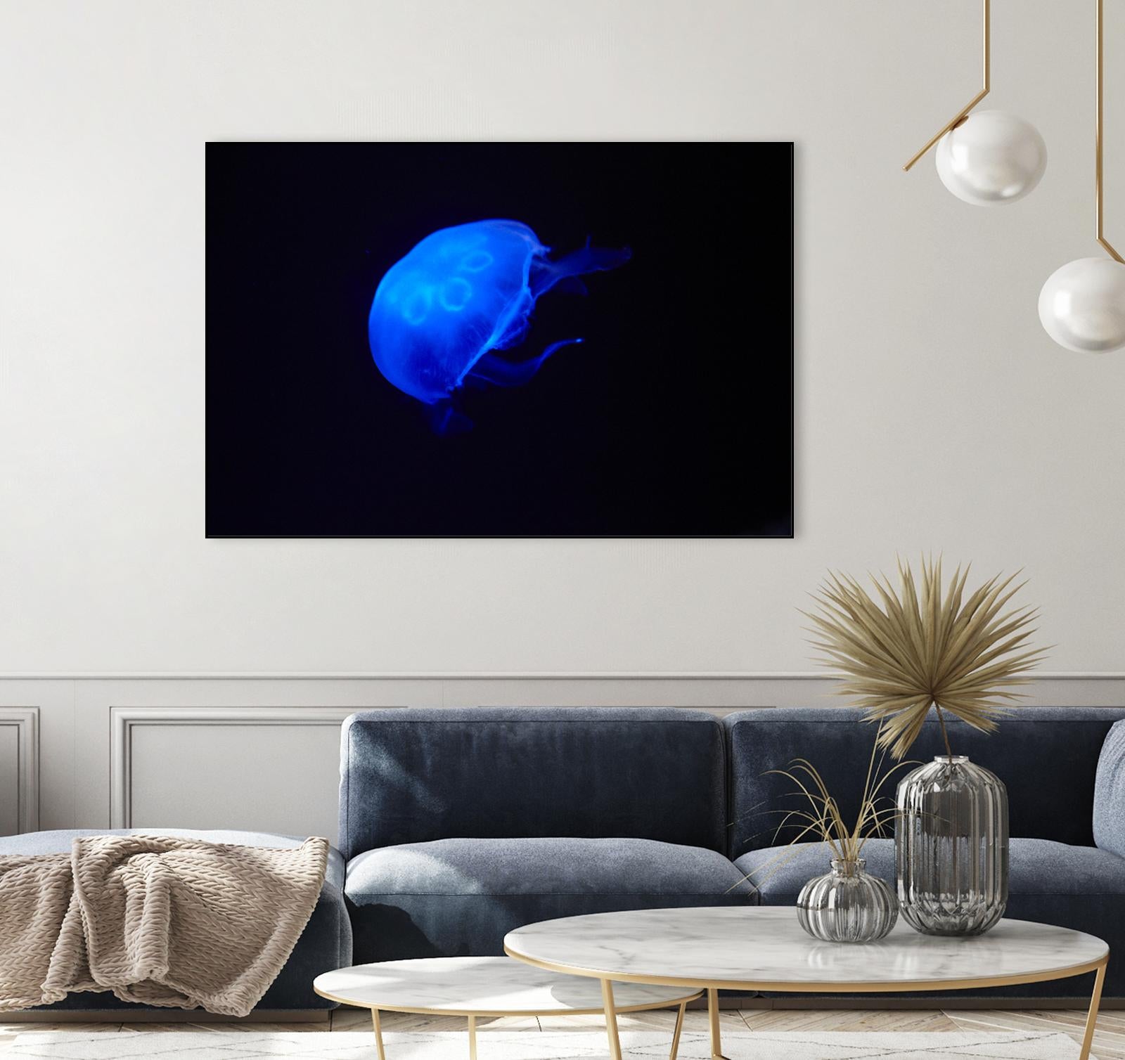 Blue and black II by Peter Morneau on GIANT ART - black photo art