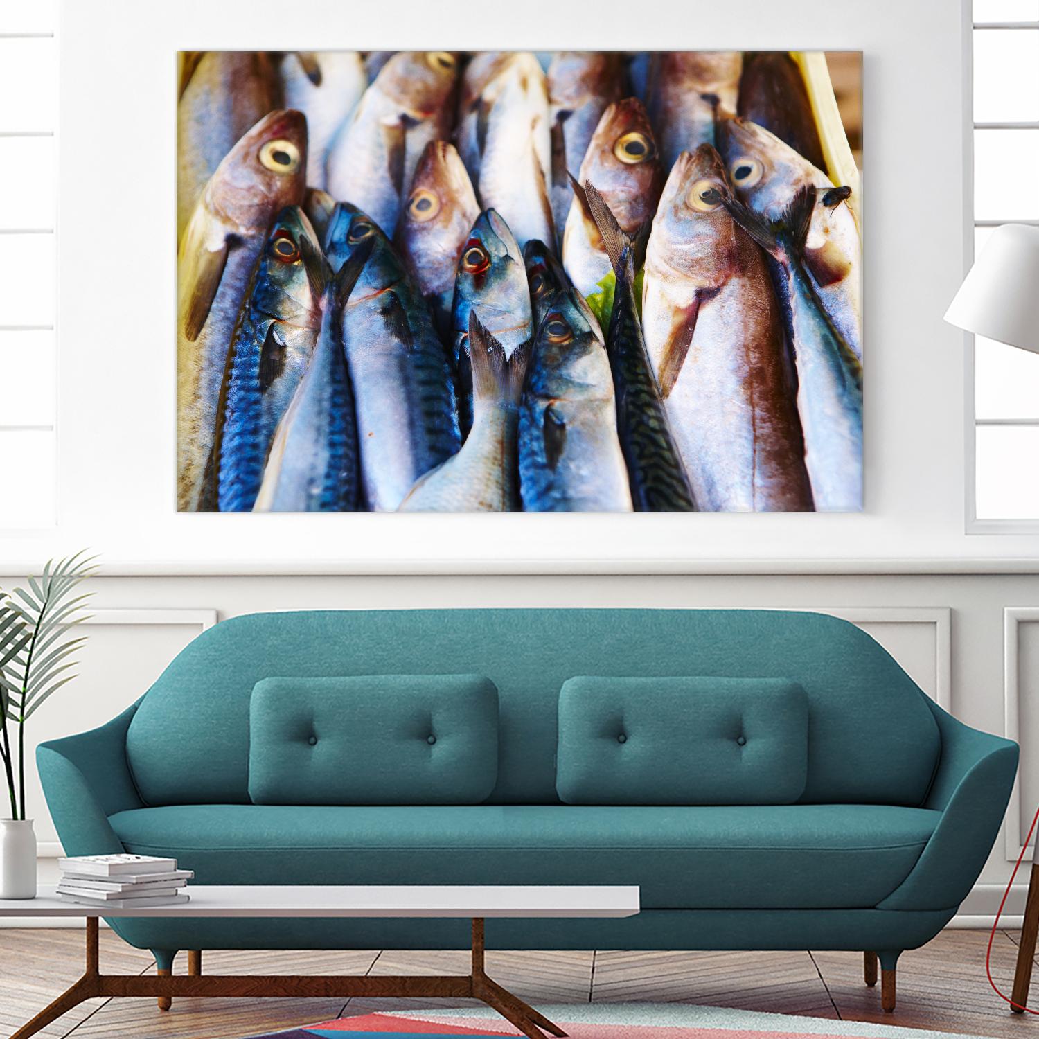 Fish V by Peter Morneau on GIANT ART - grey photo art
