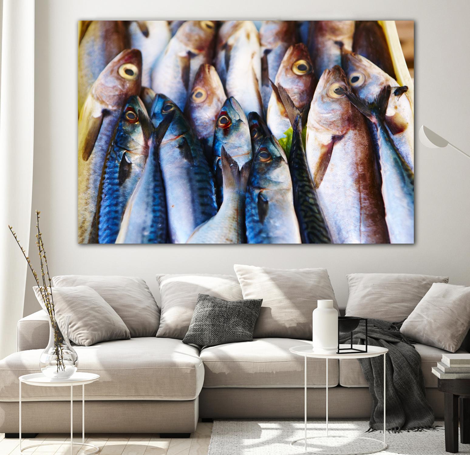 Fish V by Peter Morneau on GIANT ART - grey photo art
