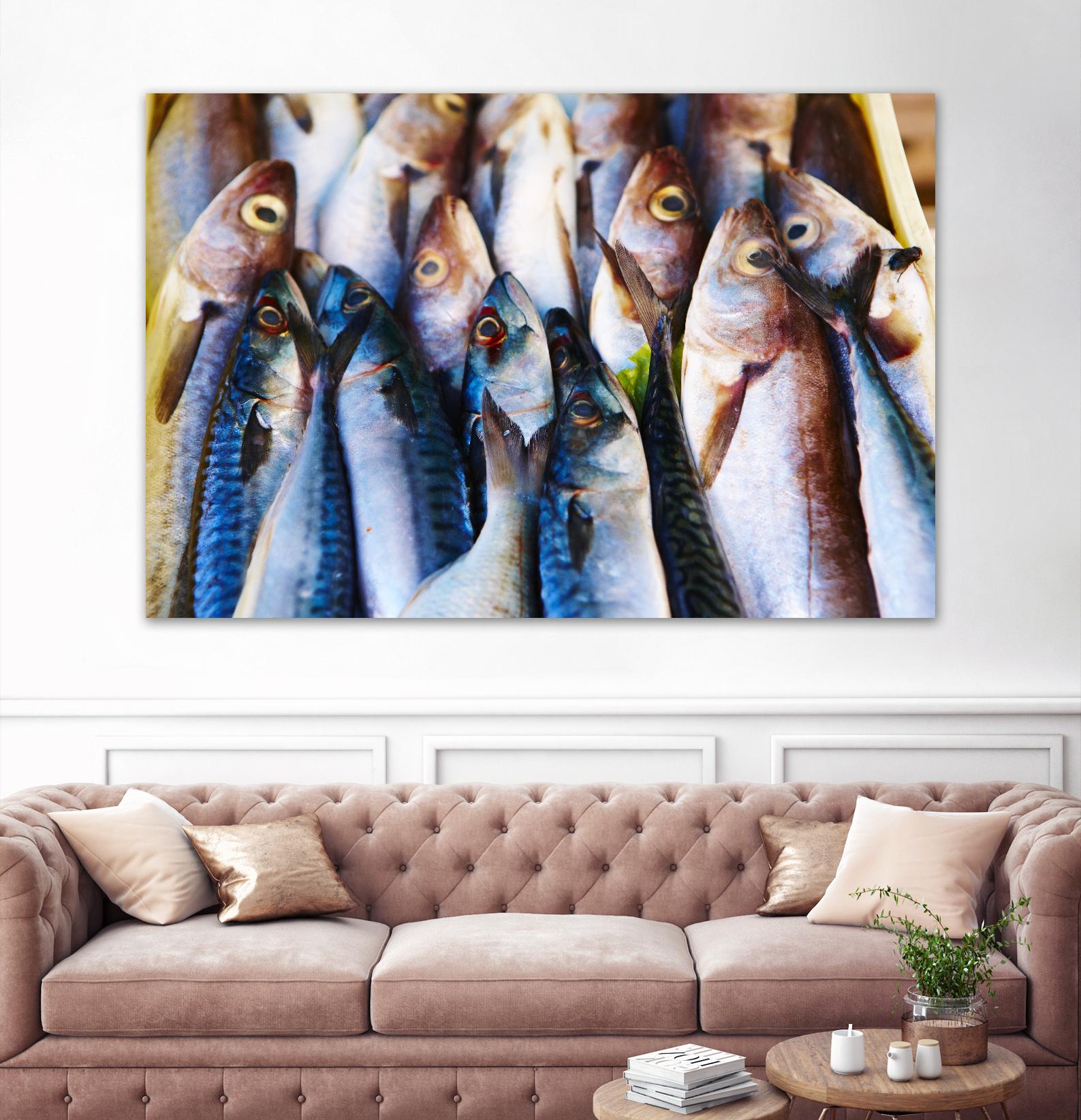 Fish V by Peter Morneau on GIANT ART - grey photo art