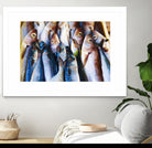 Fish V by Peter Morneau on GIANT ART - blue photography artistes du québec