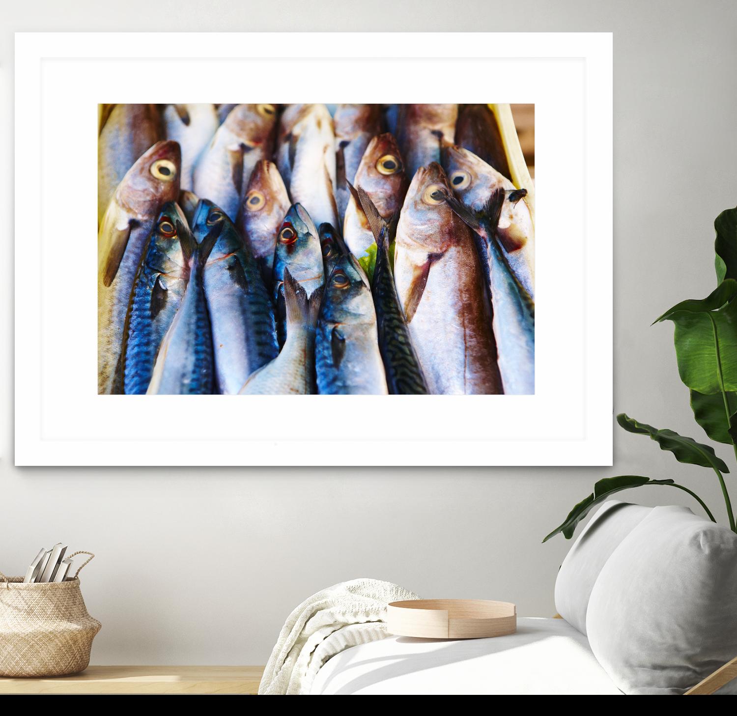 Fish V by Peter Morneau on GIANT ART - blue photography artistes du québec