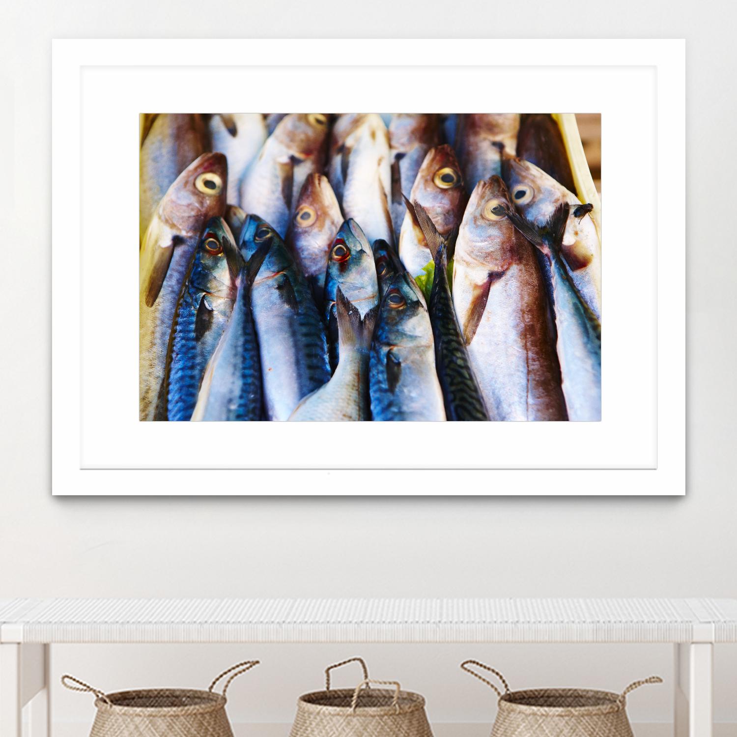 Fish V by Peter Morneau on GIANT ART - blue photography artistes du québec