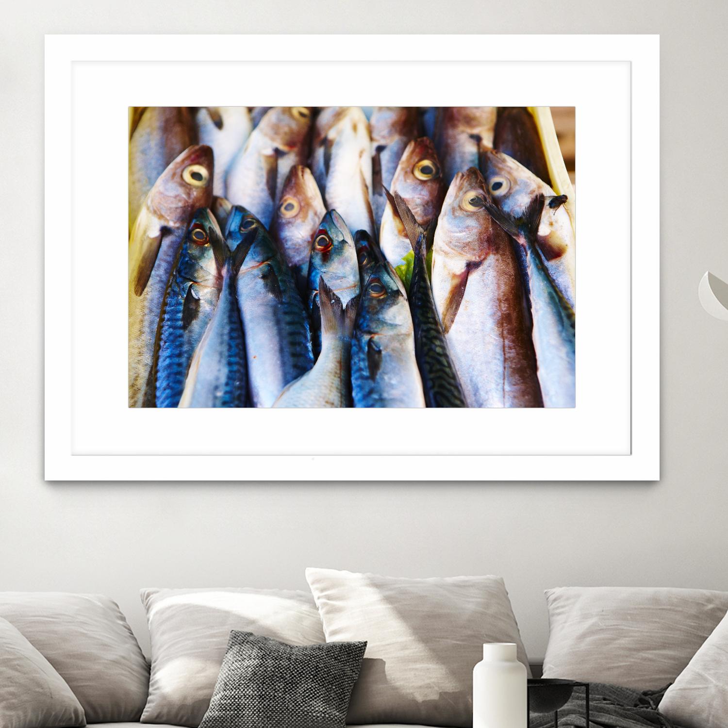 Fish V by Peter Morneau on GIANT ART - blue photography artistes du québec