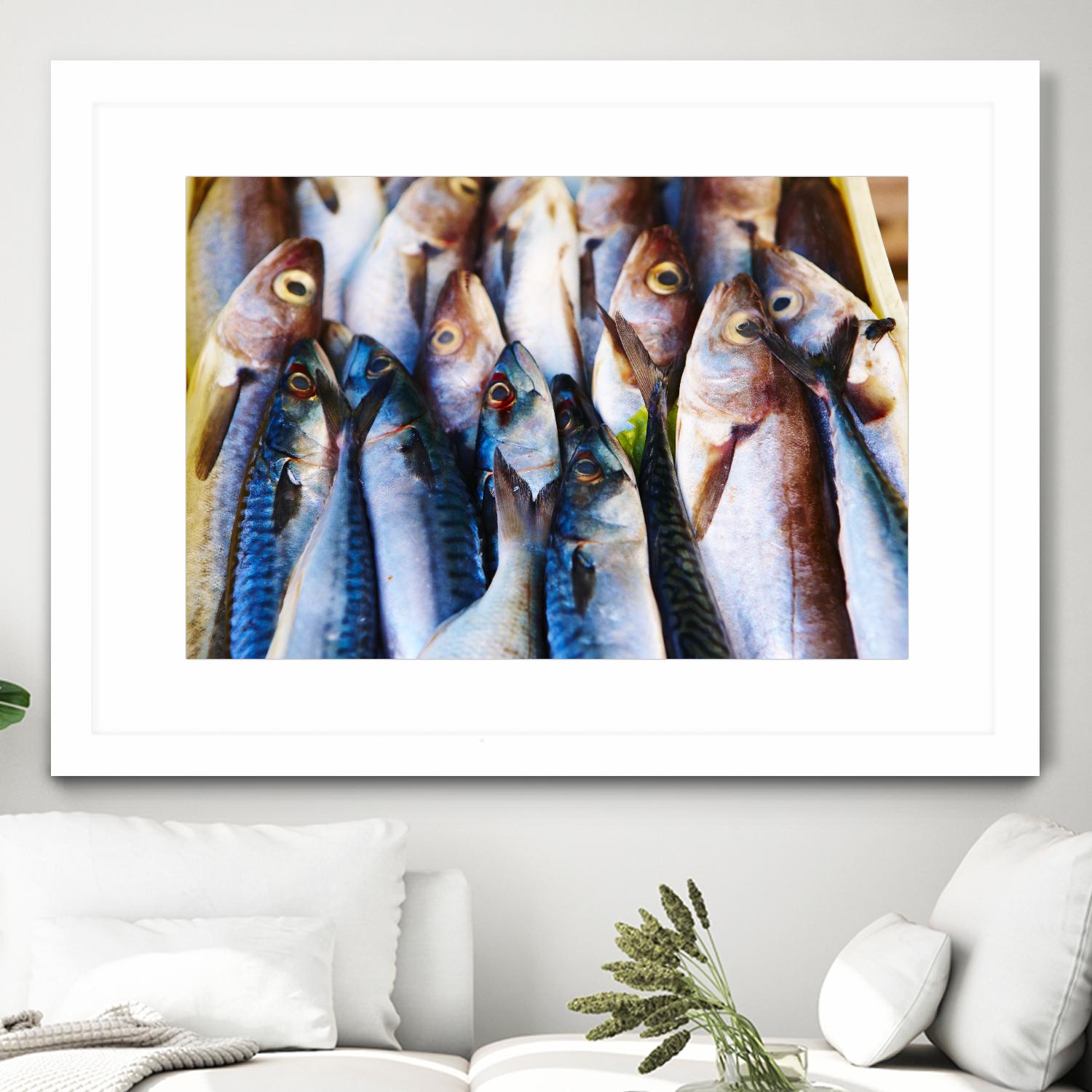 Fish V by Peter Morneau on GIANT ART - blue photography artistes du québec