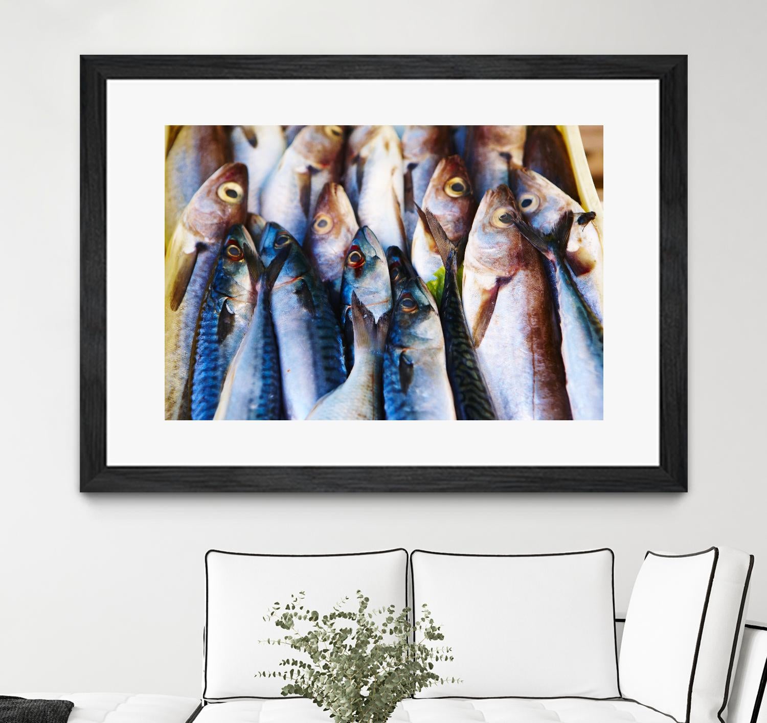 Fish V by Peter Morneau on GIANT ART - blue photography artistes du québec