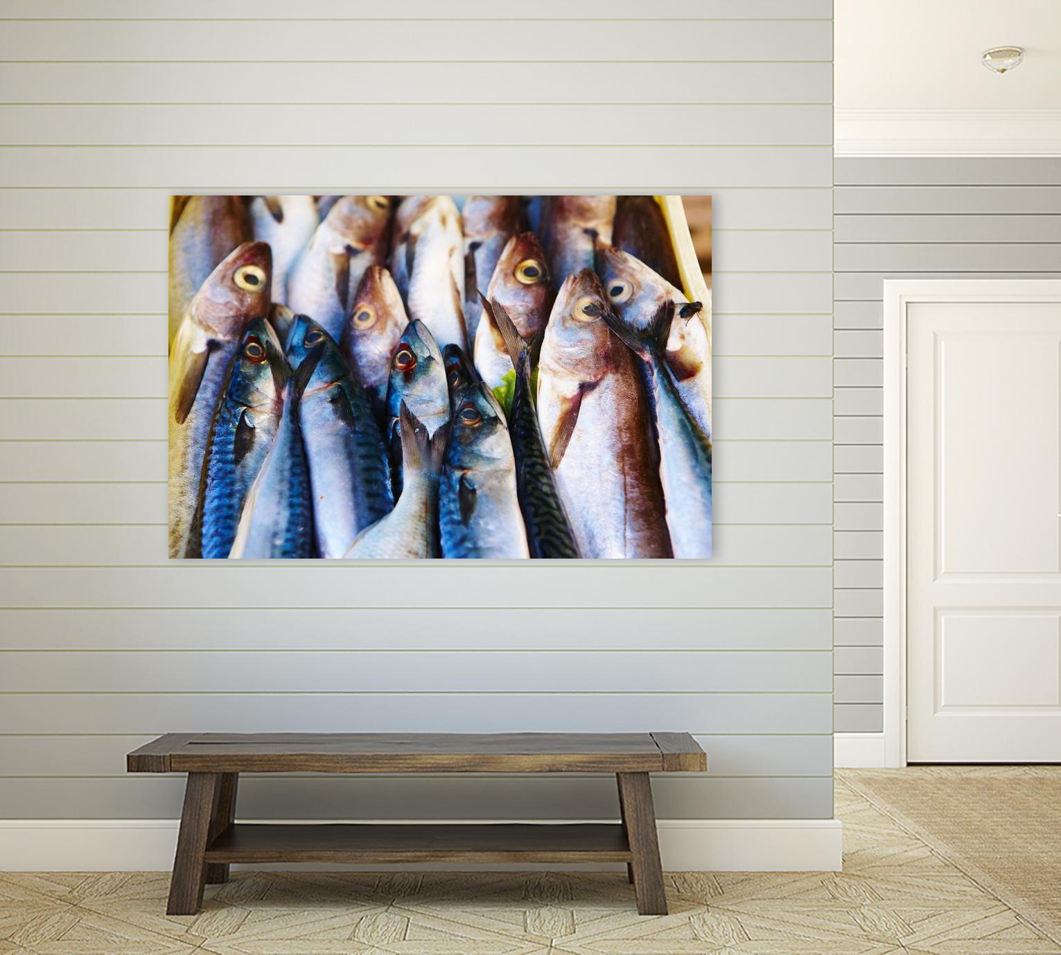 Fish V by Peter Morneau on GIANT ART - blue photography artistes du québec