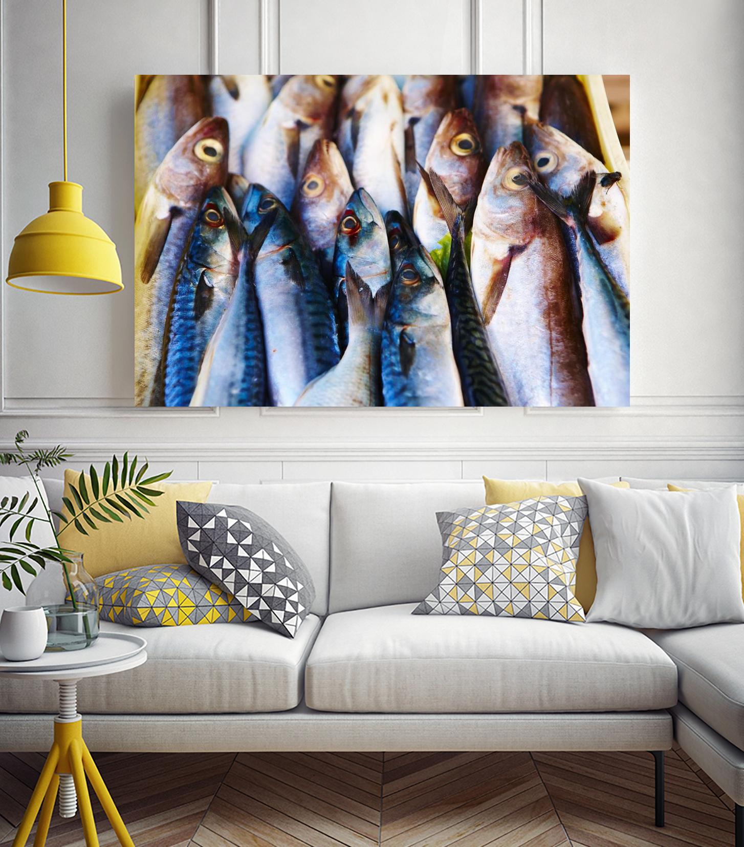 Fish V by Peter Morneau on GIANT ART - blue photography artistes du québec