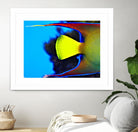 Yellow Fish by Peter Morneau on GIANT ART - yellow photo art