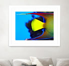 Yellow Fish by Peter Morneau on GIANT ART - yellow photo art