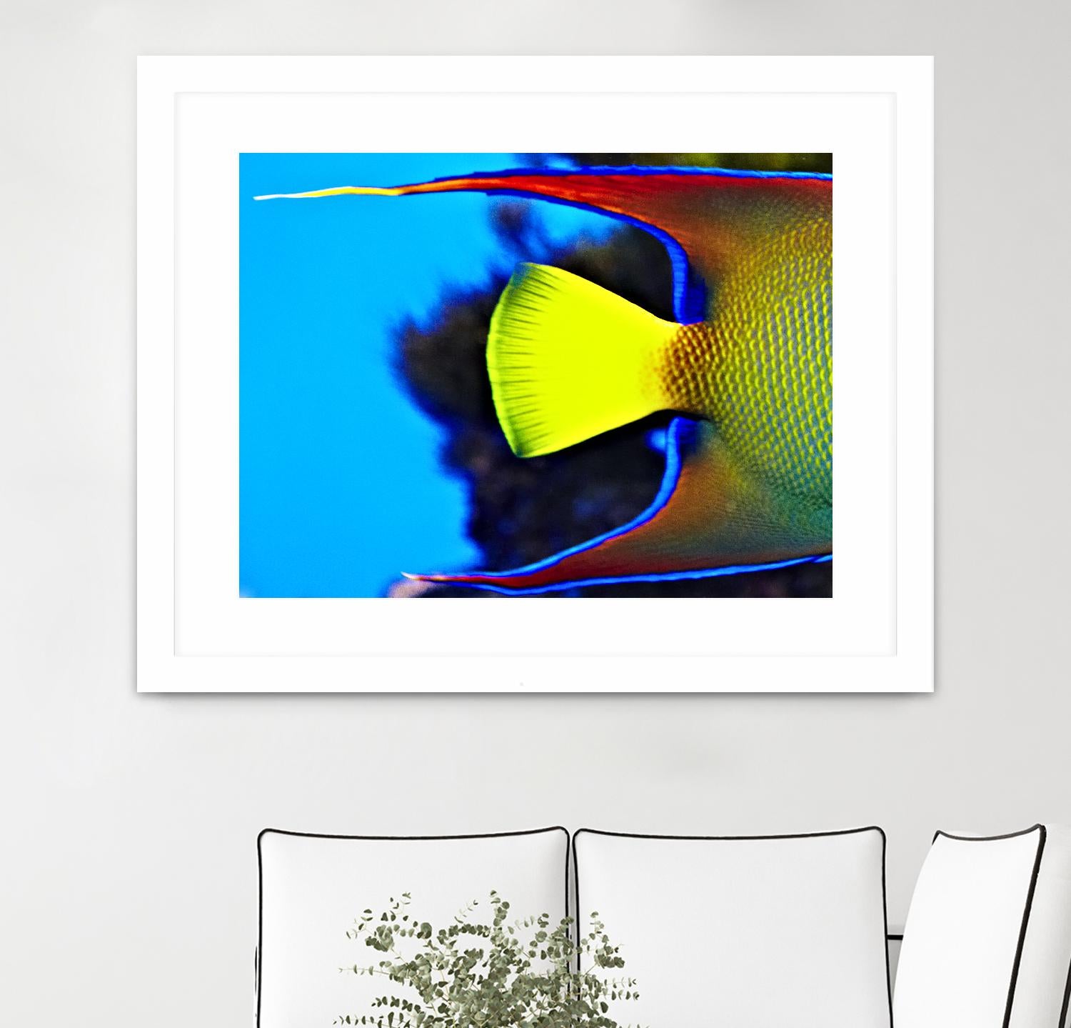 Yellow Fish by Peter Morneau on GIANT ART - yellow photo art