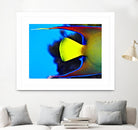 Yellow Fish by Peter Morneau on GIANT ART - yellow photo art