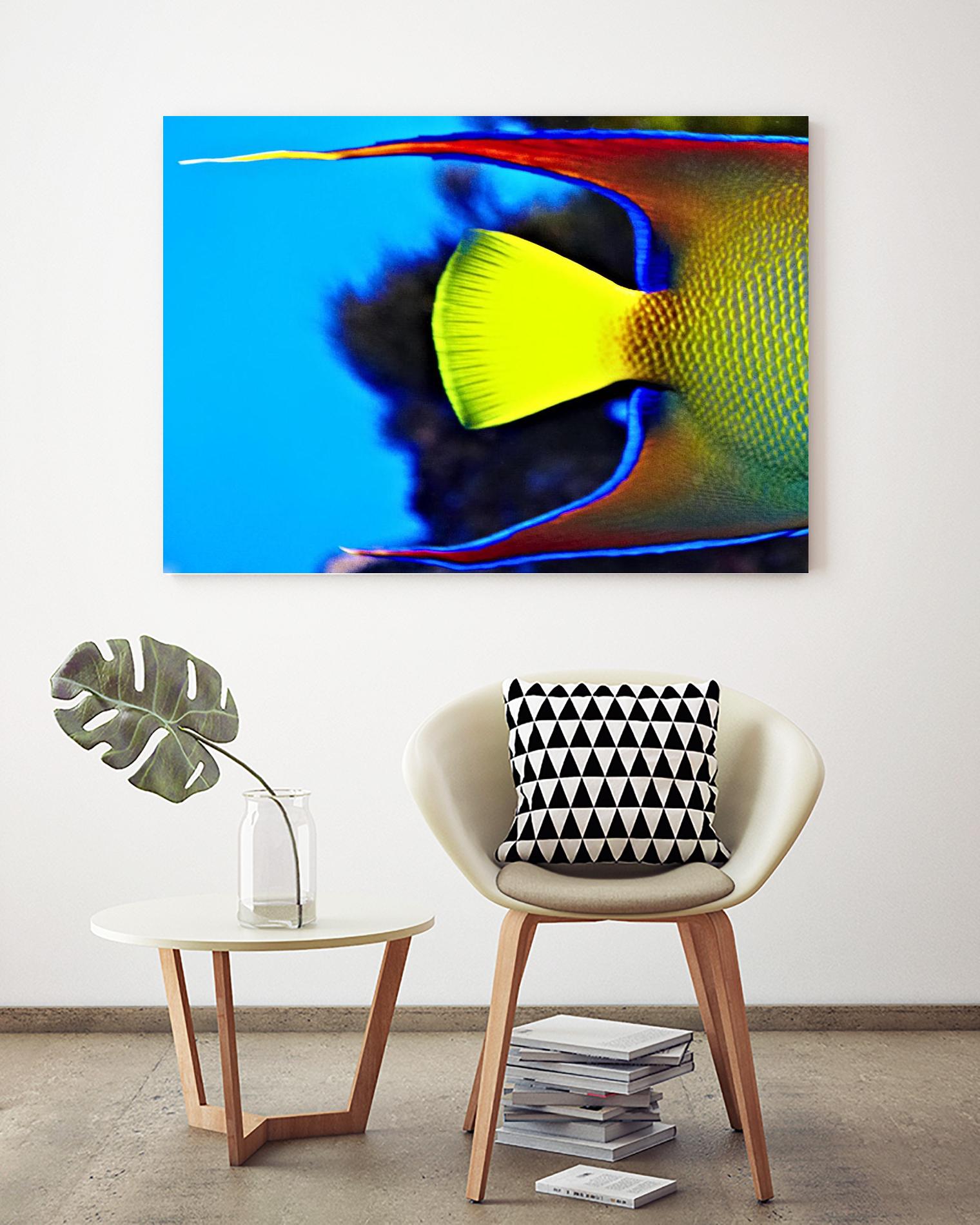 Yellow Fish by Peter Morneau on GIANT ART - yellow photo art