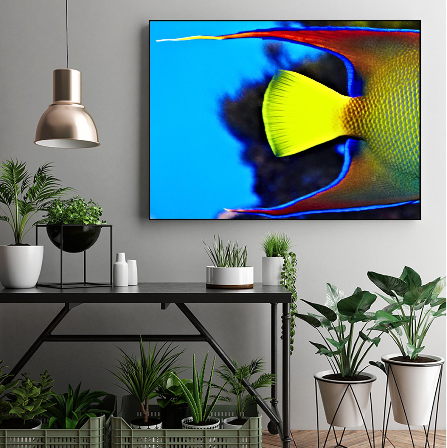 Yellow Fish by Peter Morneau on GIANT ART - yellow photo art