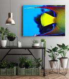 Yellow Fish by Peter Morneau on GIANT ART - yellow photo art