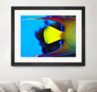 Yellow Fish by Peter Morneau on GIANT ART - yellow photo art