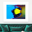 Yellow Fish by Peter Morneau on GIANT ART - yellow photo art