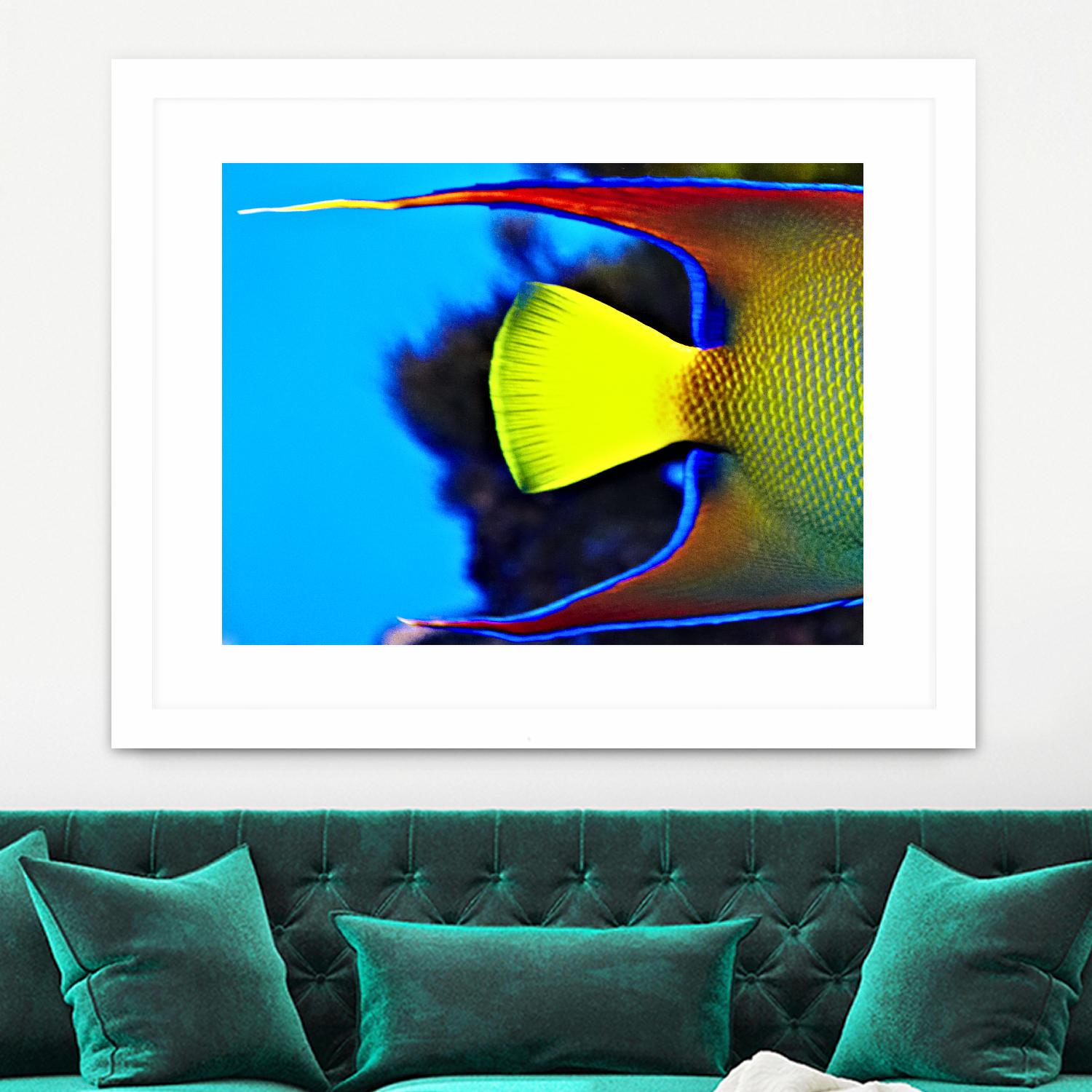 Yellow Fish by Peter Morneau on GIANT ART - yellow photo art