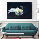 Phalaenopsis blanc by Jocelyne Maucotel on GIANT ART - blue floral