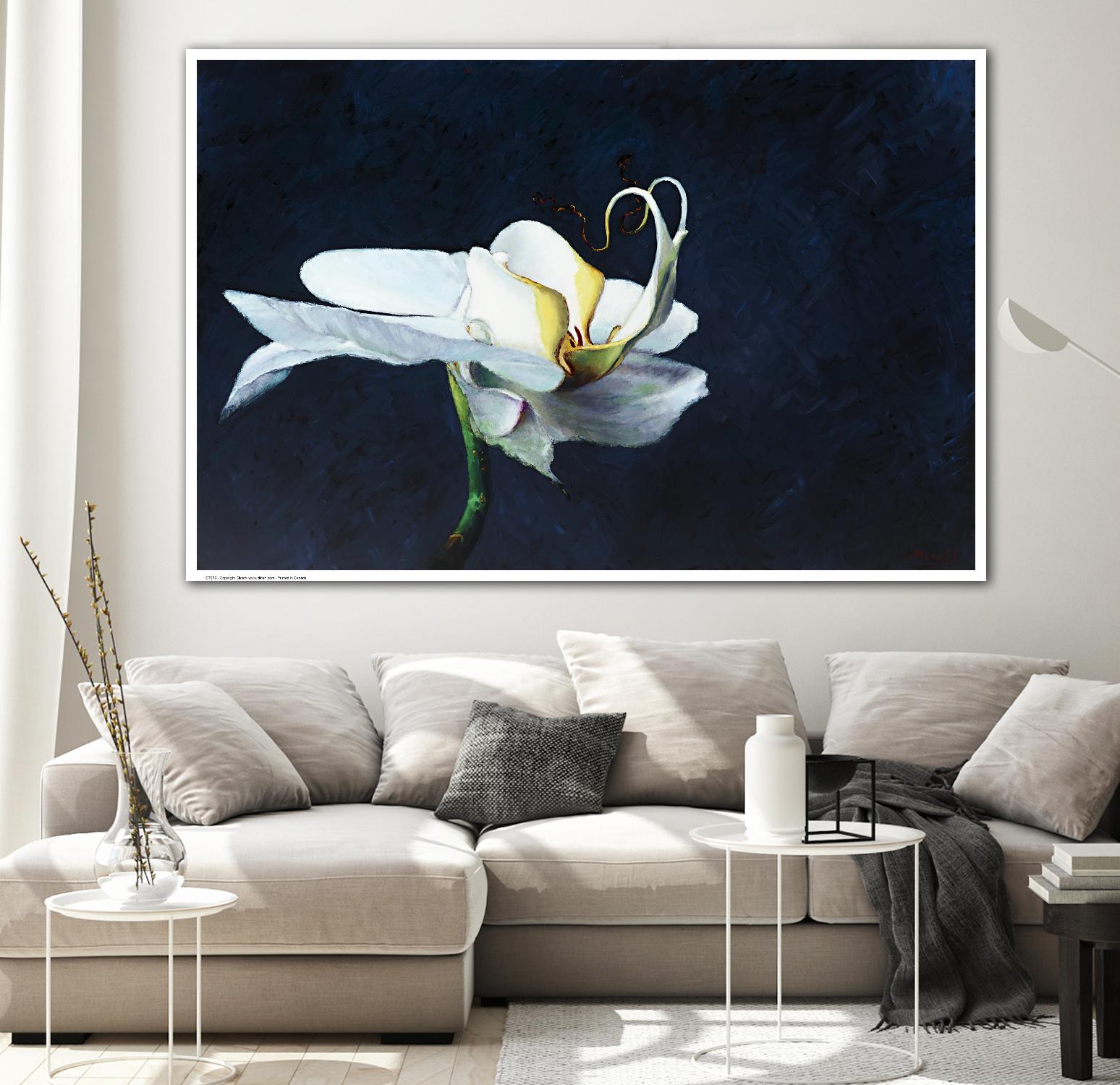 Phalaenopsis blanc by Jocelyne Maucotel on GIANT ART - blue floral