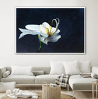 Phalaenopsis blanc by Jocelyne Maucotel on GIANT ART - blue floral