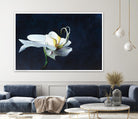 Phalaenopsis blanc by Jocelyne Maucotel on GIANT ART - blue floral
