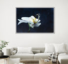 Phalaenopsis blanc by Jocelyne Maucotel on GIANT ART - blue floral