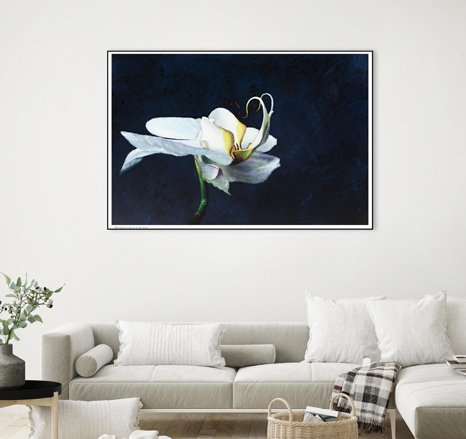 Phalaenopsis blanc by Jocelyne Maucotel on GIANT ART - blue floral