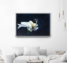 Phalaenopsis blanc by Jocelyne Maucotel on GIANT ART - blue floral