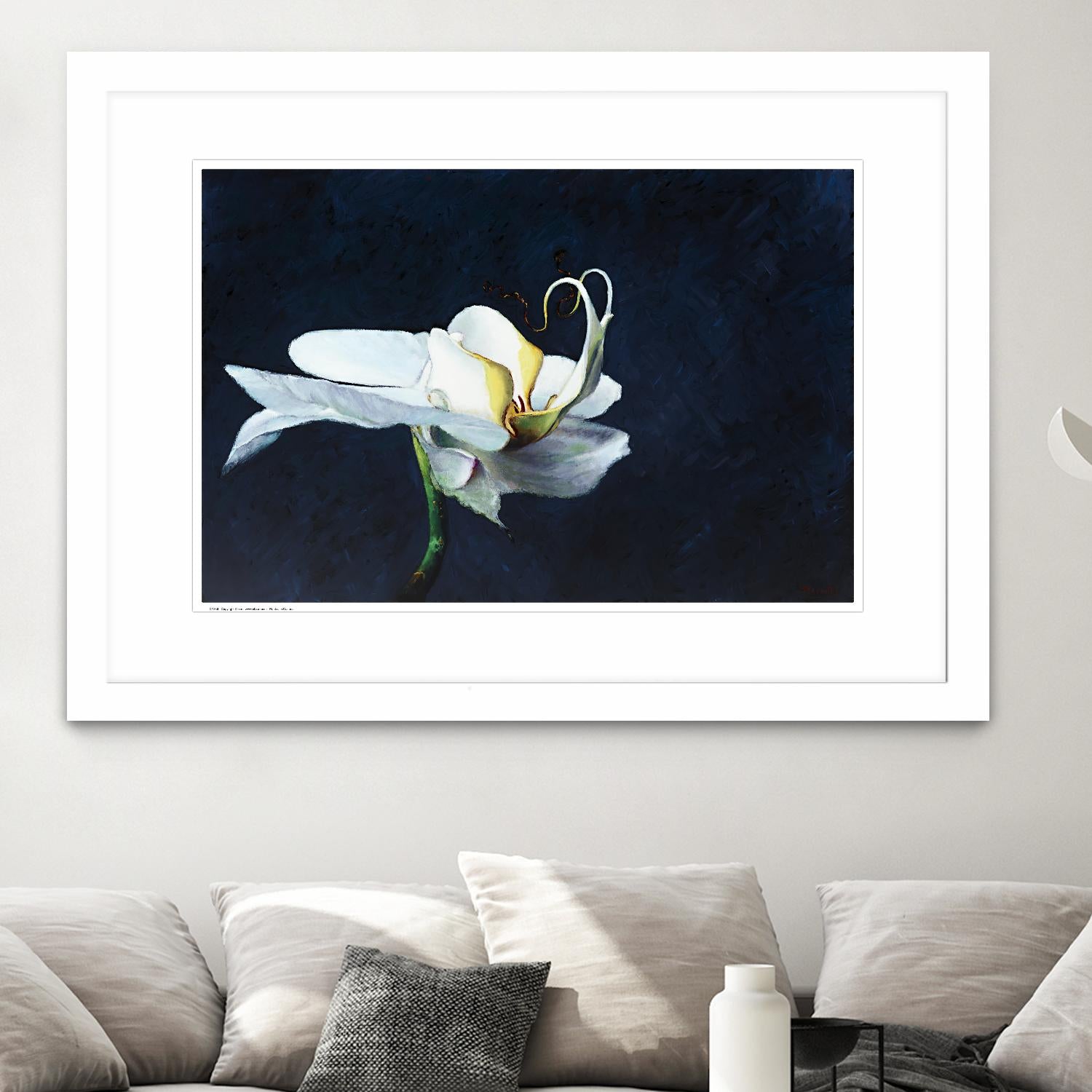 Phalaenopsis blanc by Jocelyne Maucotel on GIANT ART - blue flowers québécois