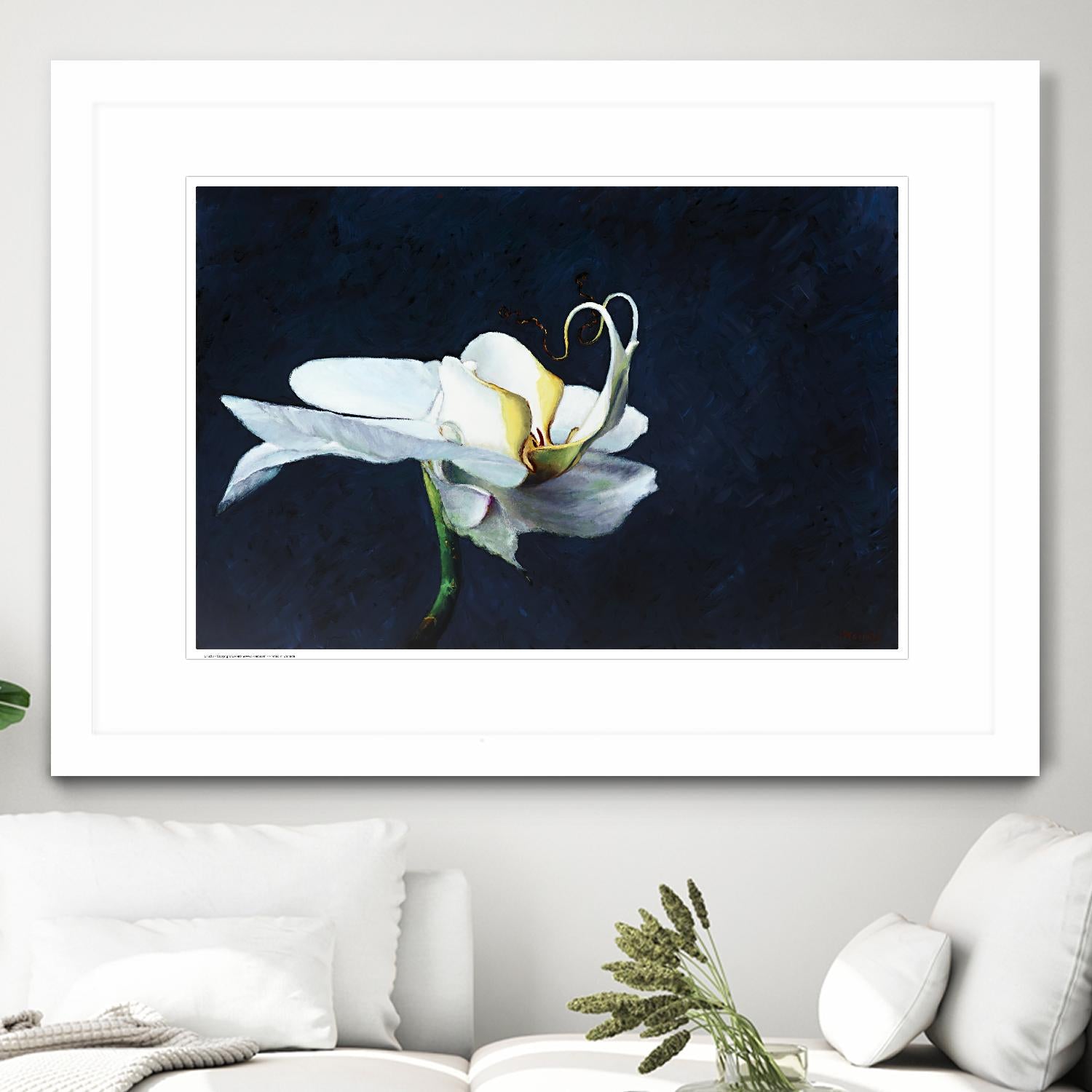 Phalaenopsis blanc by Jocelyne Maucotel on GIANT ART - blue flowers québécois