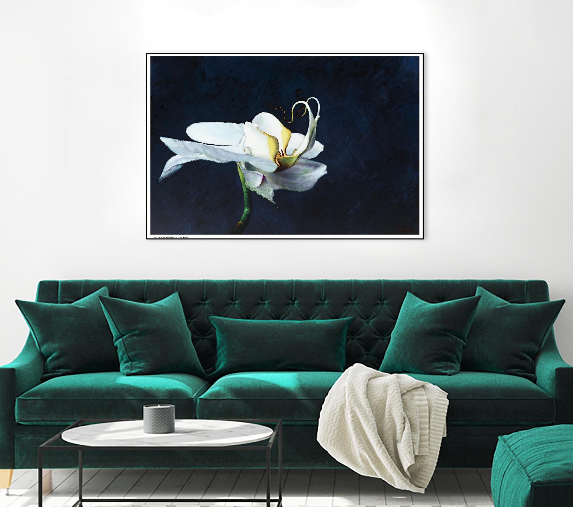 Phalaenopsis blanc by Jocelyne Maucotel on GIANT ART - blue floral
