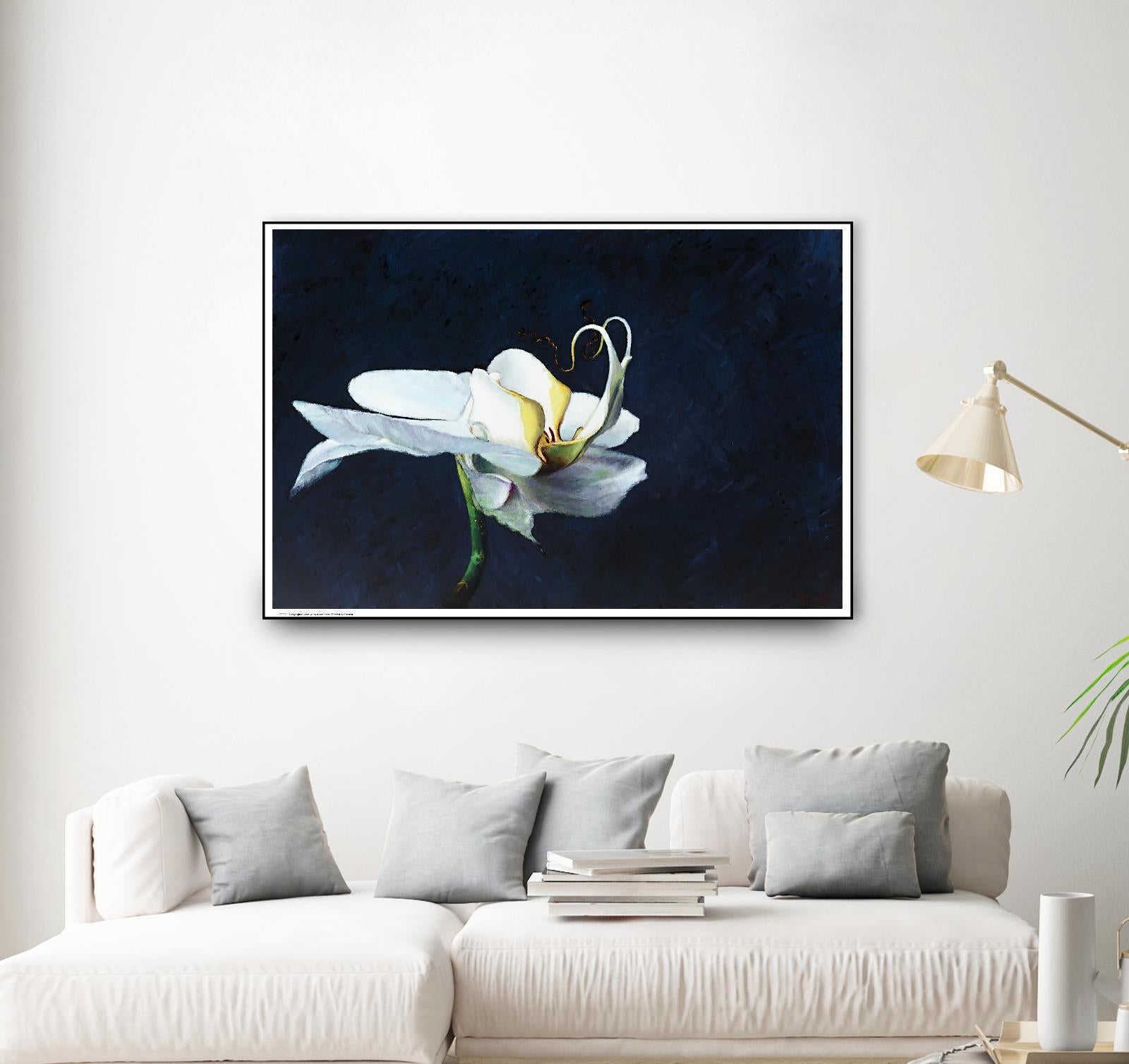 Phalaenopsis blanc by Jocelyne Maucotel on GIANT ART - blue floral