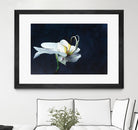 Phalaenopsis blanc by Jocelyne Maucotel on GIANT ART - blue flowers québécois