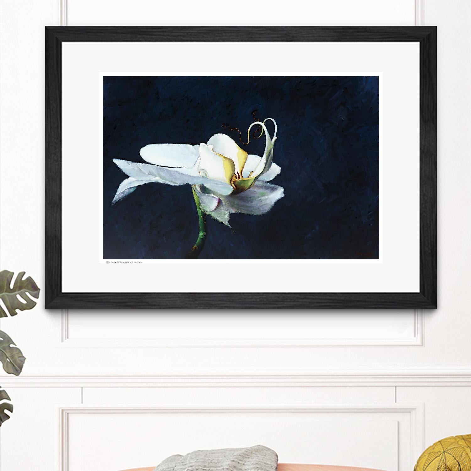 Phalaenopsis blanc by Jocelyne Maucotel on GIANT ART - blue flowers québécois