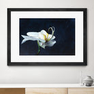 Phalaenopsis blanc by Jocelyne Maucotel on GIANT ART - blue flowers québécois
