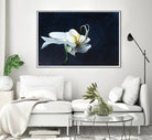 Phalaenopsis blanc by Jocelyne Maucotel on GIANT ART - blue floral