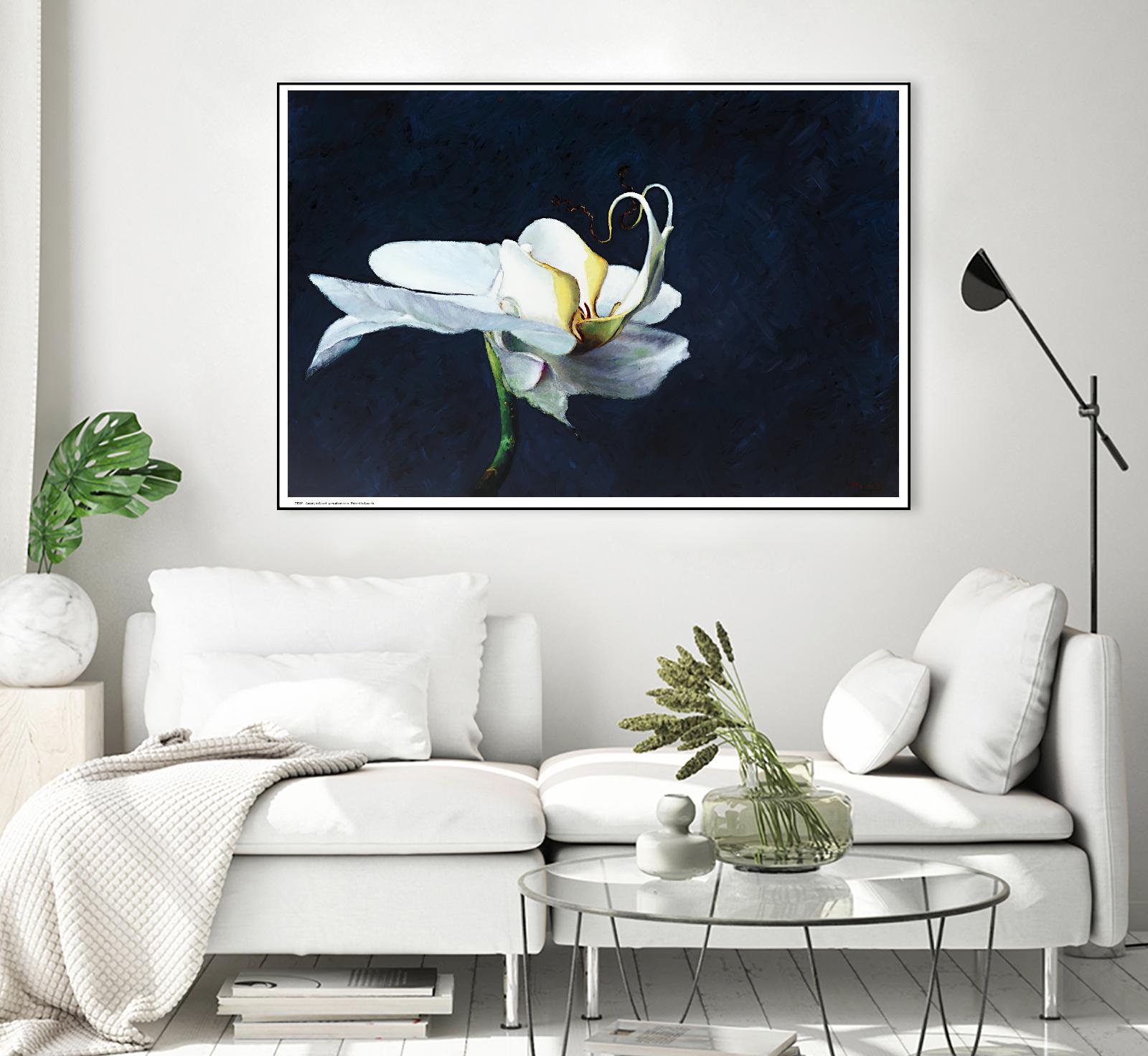 Phalaenopsis blanc by Jocelyne Maucotel on GIANT ART - blue floral