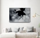 Fly by Peter Morneau on GIANT ART - grey photo art