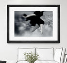 Fly by Peter Morneau on GIANT ART - black photography dancer