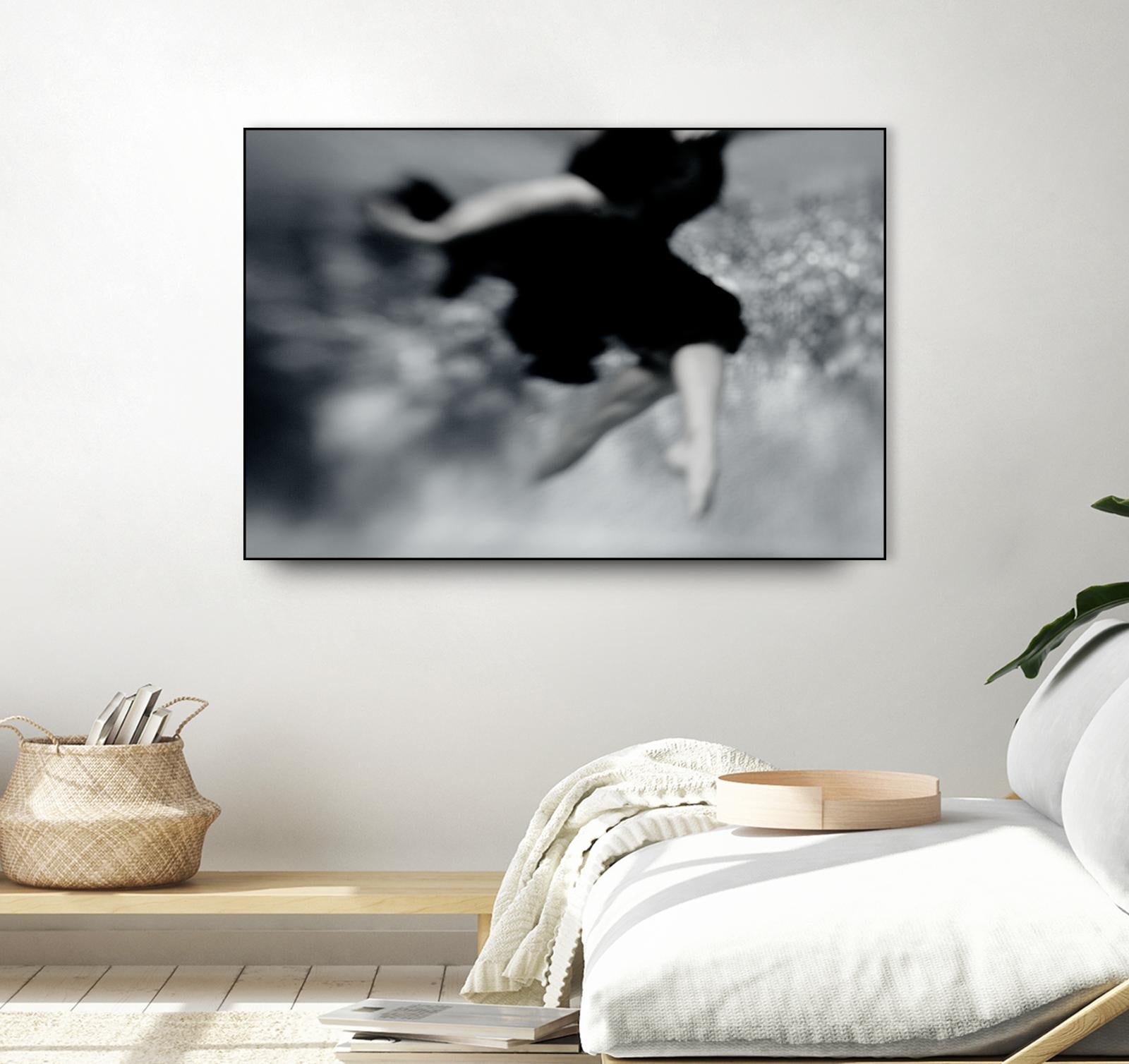 Fly by Peter Morneau on GIANT ART - grey photo art