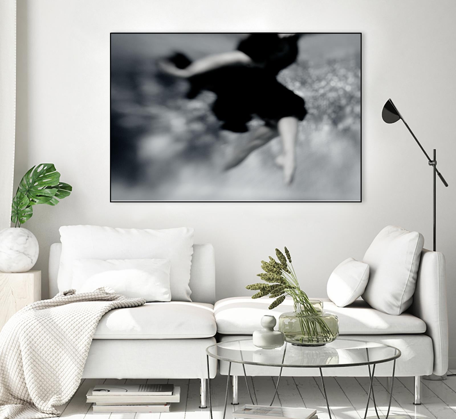 Fly by Peter Morneau on GIANT ART - grey photo art