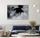 Fly by Peter Morneau on GIANT ART - grey photo art